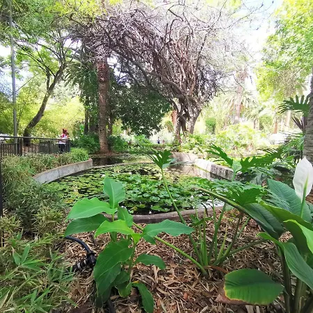 Home2book El Encanto 3 De Mayo * Santa Cruz de Tenerife