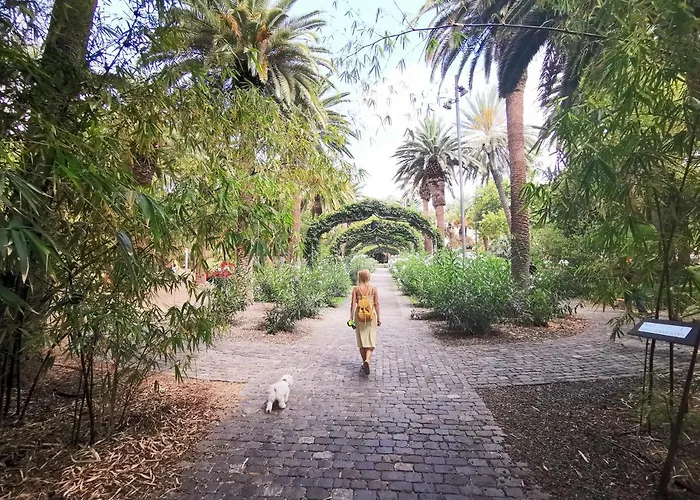 Home2book El Encanto 3 De Mayo Santa Cruz de Tenerife