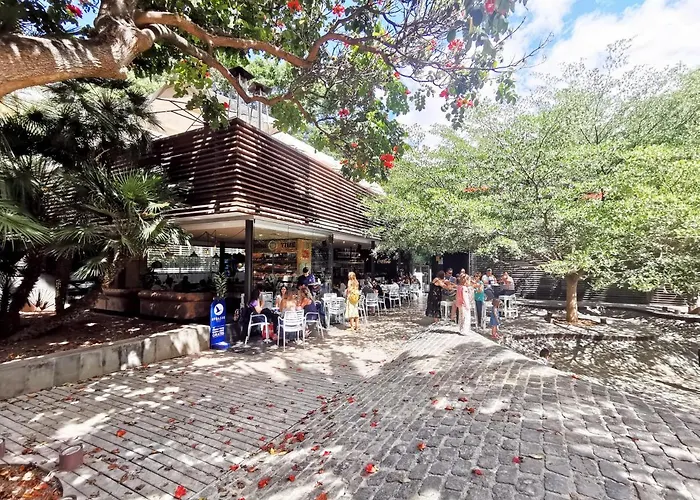 Home2book El Encanto 3 De Mayo شقة سانتا كروز دي تينيريف