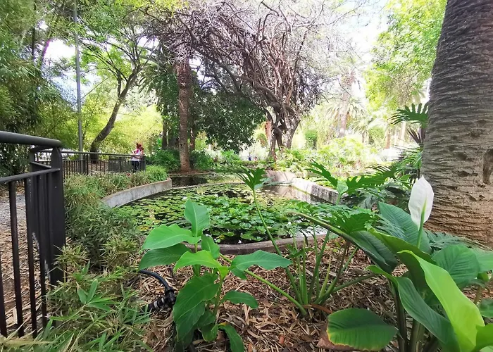 Home2book El Encanto 3 De Mayo * سانتا كروز دي تينيريف