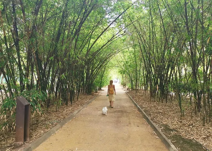 Home2book El Encanto 3 De Mayo Apartman *